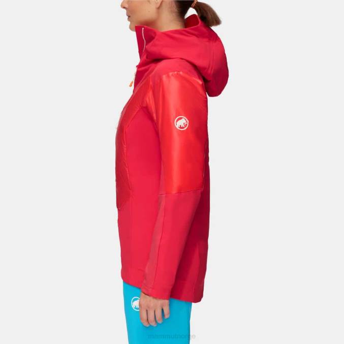 Mammut klær kvinner eisfeld so hybrid hettejakke asalea 8L8B769