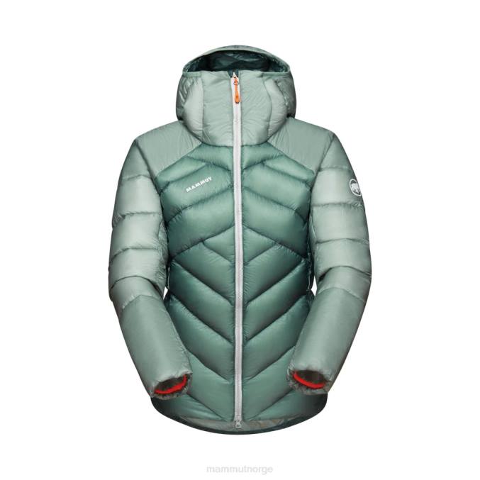 Mammut klær kvinner taiss i hettejakke mørk jade-jade 8L8B32