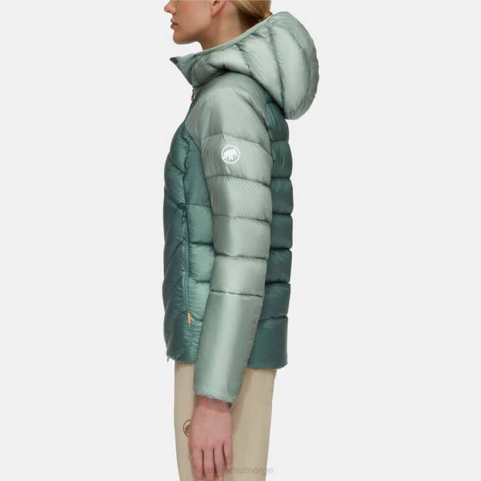 Mammut klær kvinner taiss i hettejakke mørk jade-jade 8L8B32
