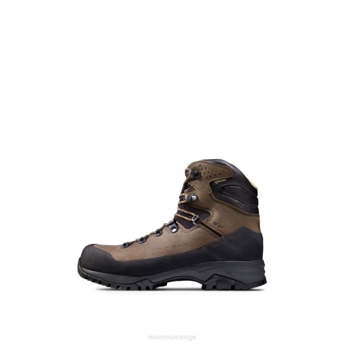 Mammut fottøy menn trovat guide ii høy gtx myr-tuff 8L8B373