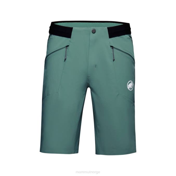 Mammut klær menn aenergy light så shorts mørk jade 8L8B1043