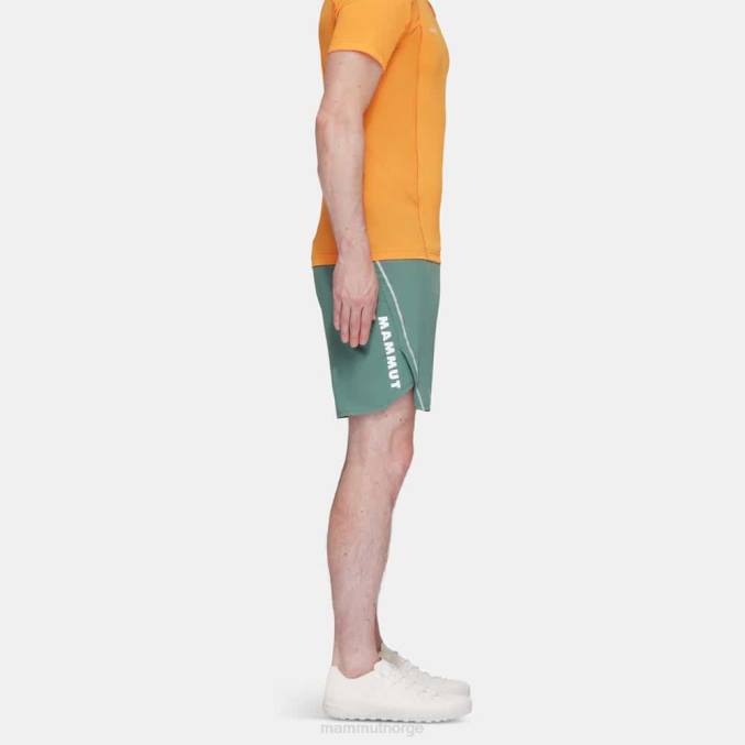 Mammut klær menn aenergy tr shorts mørk jade-svart 8L8B976