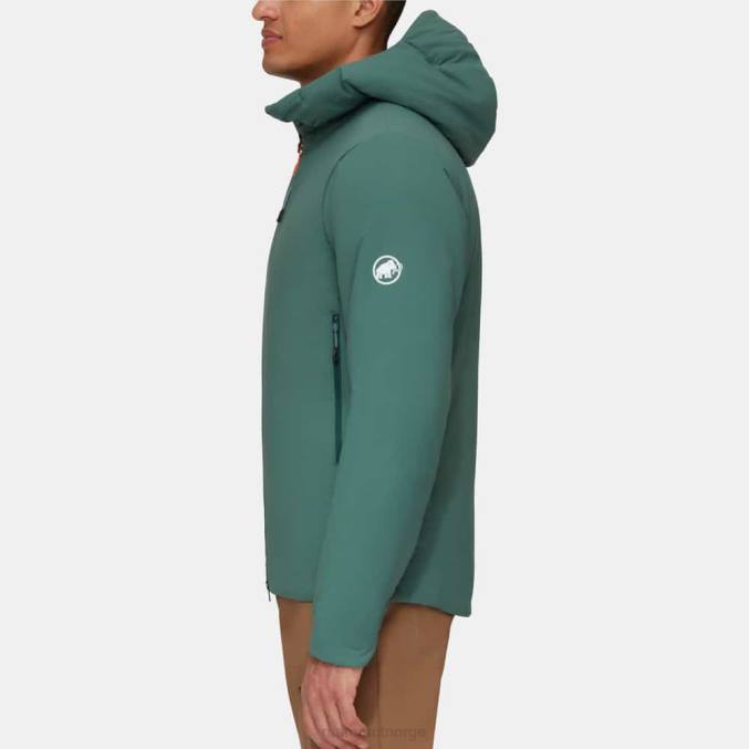 Mammut klær menn rim i flex hettejakke mørk jade 8L8B73
