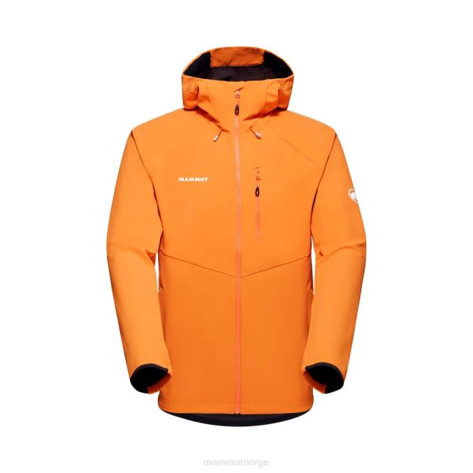 mørk mandarin