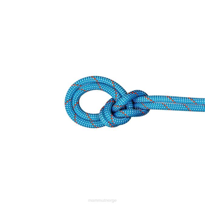 Mammut utstyr unisex 9,8 crag klassisk tau is mint-hvit 8L8B1412