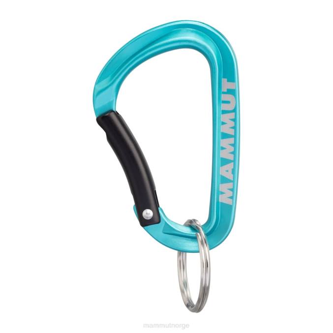 Mammut utstyr unisex mini karabinkrok klassisk nøkkellås s blå 8L8B1318